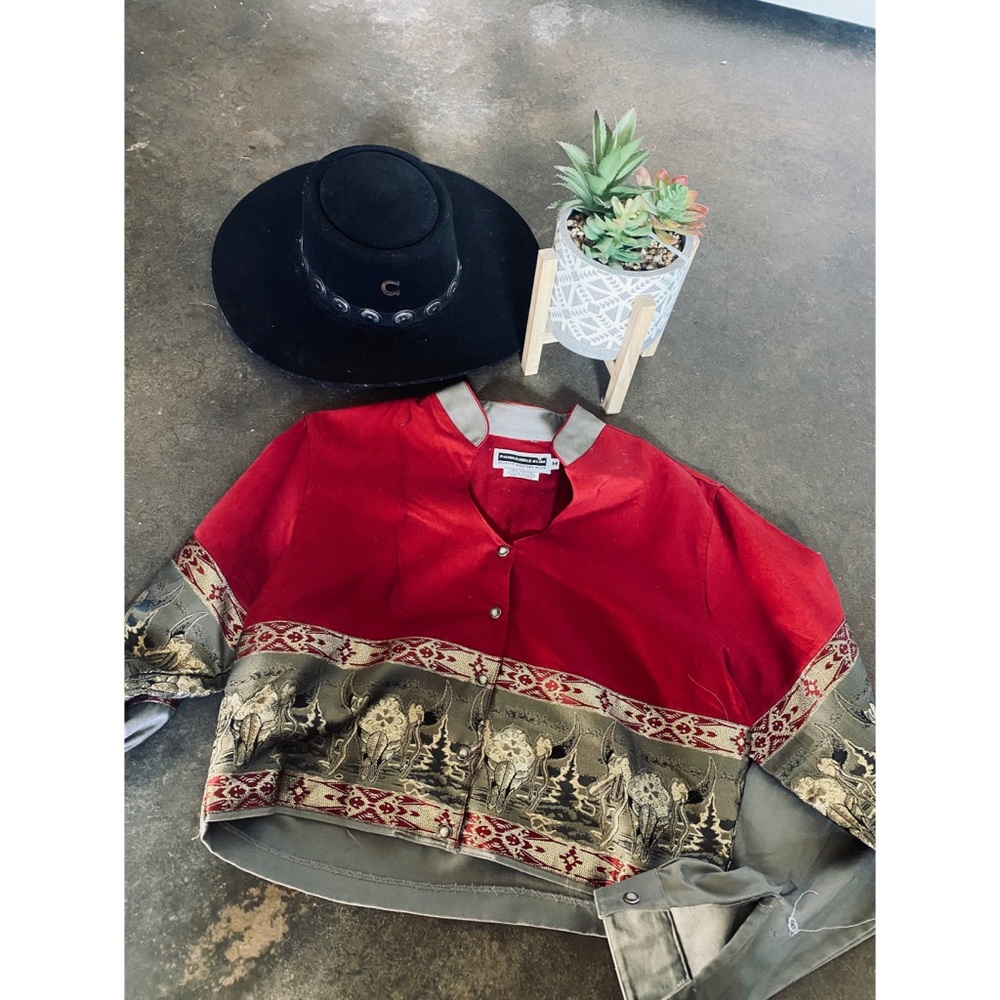 Panhandle Slim Longhorn pearl snap 🤠